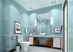 南安市南溪衛(wèi)浴潔具廠(chǎng)